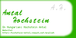 antal hochstein business card